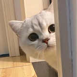Lau不想学数学