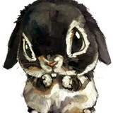 Mr_兔兔