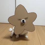 C_B7