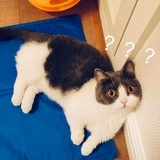 不愧是我