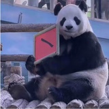 清风渡我