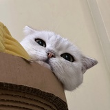 释·然