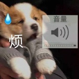 小宝