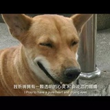 谢谢哦谢谢