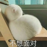 好运来