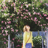 芒果爱榴莲