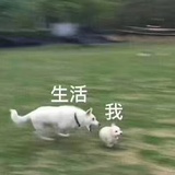 叫我十一