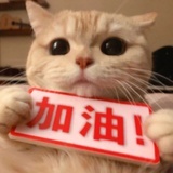 桃乐丝