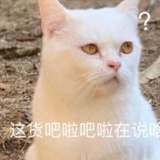 周周