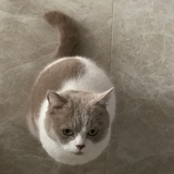 SaltMoon