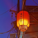 每天都想退休