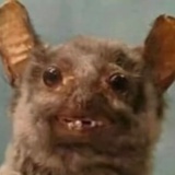 獸藥