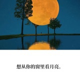 橘子下海啦