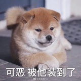 DDDD的D的D的D