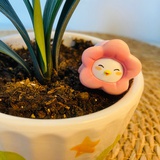 百万小姐在做梦