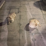 所以你想问什么