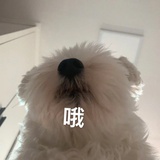 贺天男朋友