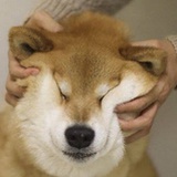 12345