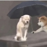 马克思主义哲学