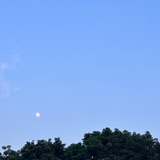 昨夜西风