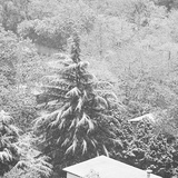 轻风拂
