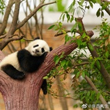 无尽夏之光