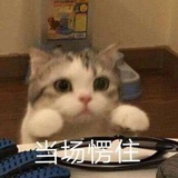 蟹oba