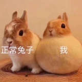 小唐