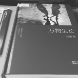 繁星暖阳