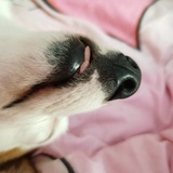 ✨        毓