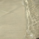 hydi的秘密