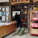 凉本末
