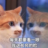 快乐搞钱的小陈