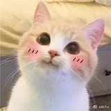 菜菜菜菜