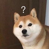 特大号番茄