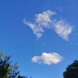 花开不成眠