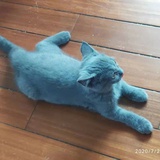 玄元