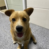 江湖第一高手
