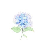 君君宝贝
