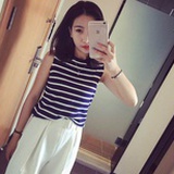 会飞的鱼