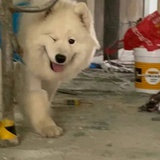 等一个灯神