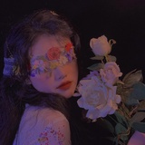 Rose26