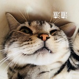 今天吃西兰花🥦