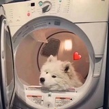 ♬ ♪♩