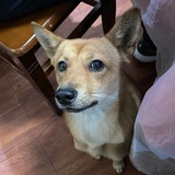 桀骜不驯卡夫卡