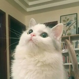 泸沽