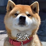 华盛顿🦈🦅