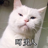 小瓶盖