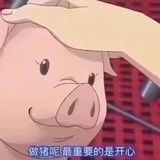 森森