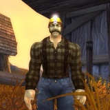 Kungen